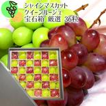 ルージュ＆シャイン宝石箱36粒　【信州長野県産】※2024年先行予約※　10月より発送開始 36粒 果物や野菜などのお取り寄せ宅配食材通販産地直送アウル