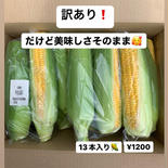 訳あり❗️朝採り新鮮とうもろこし🌽 4キロ〜5キロ 果物や野菜などのお取り寄せ宅配食材通販産地直送アウル