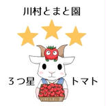 【3つ星】フルーツトマト1.2KG（粒不揃い70〜100粒） 1.2KG 果物や野菜などのお取り寄せ宅配食材通販産地直送アウル