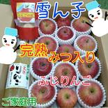 雪ん子＊ご家庭用＊完熟ふじりんご❴全玉蜜入り❵4kg＆りんごの恵み ふじりんご約4kg*1本*1袋 果物や野菜などのお取り寄せ宅配食材通販産地直送アウル
