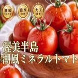 🍅有名レストラン御用達🍅ギリギリまで完熟させた濃厚大玉の潮風ミネラルトマト100年の伝統が生んだ奇跡の結晶『渥美半島ブランド』【6月上旬発送】 渥美半島ブランドトマト約1kg 果物や野菜などのお取り寄せ宅配食材通販産地直送アウル