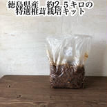 特選椎茸栽培キット　やまのこ農園 2.5キロ 果物や野菜などのお取り寄せ宅配食材通販産地直送アウル