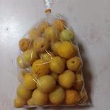 梅終了 箱入1kg 果物や野菜などのお取り寄せ宅配食材通販産地直送アウル