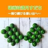 嵯峨峡満月すだち　12個入 12個入 果物や野菜などのお取り寄せ宅配食材通販産地直送アウル
