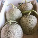 メロン４個大箱(赤肉、青肉、店主おまかせ) 8kg～10kg  果物や野菜などのお取り寄せ宅配食材通販産地直送アウル