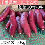 さつまいも (紅はるか) 　A級　Lサイズ 10kg[送料別] 10kg 果物や野菜などのお取り寄せ宅配食材通販産地直送アウル