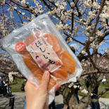幻の品種とテレビで紹介されました♪種熟成干し芋　星あかね 200g×2 果物や野菜などのお取り寄せ宅配食材通販産地直送アウル