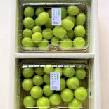 ◉2箱　シャインマスカット「摘み落とし」（500g×2P） 2kg（500g×4P） 果物や野菜などのお取り寄せ宅配食材通販産地直送アウル
