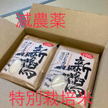 新米　甘くて美味しい！ 新潟県産コシヒカリ　減農薬の特別栽培米🌾精米10kg 精米10kg 果物や野菜などのお取り寄せ宅配食材通販産地直送アウル