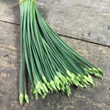 【沖縄】花ニラ500g 500g 果物や野菜などのお取り寄せ宅配食材通販産地直送アウル