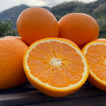 【愛媛県産🍊清見】今季の締めくくりとなります🍊（3.0k入） 3.0k入 果物や野菜などのお取り寄せ宅配食材通販産地直送アウル