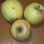 【訳あり】旬のりんご3kg箱 約2.7〜3.3kg(8〜12玉) 果物や野菜などのお取り寄せ宅配食材通販産地直送アウル