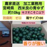 宮崎県　西米良の青ゆず　キズそこそこ以下　約10kg 10kg 果物や野菜などのお取り寄せ宅配食材通販産地直送アウル