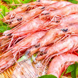 とろけるような食感と美味！トロえび中1kg（500ｇ×2） トロエビ中1kg（500g×2） 果物や野菜などのお取り寄せ宅配食材通販産地直送アウル