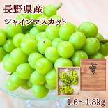 【厳選贈答用】　シャインマスカット3〜４房 約1.8kg 果物や野菜などのお取り寄せ宅配食材通販産地直送アウル