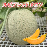 ルピアレッドメロン（2L2玉） 2玉2.0〜2.58kg 果物や野菜などのお取り寄せ宅配食材通販産地直送アウル