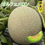 オルフェメロン【B品5L】2玉 B品5Lサイズ2玉 果物や野菜などのお取り寄せ宅配食材通販産地直送アウル