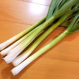 【春の恵み】自然栽培べっぴんやさいの葉にんにく(約500g) 約500g 果物や野菜などのお取り寄せ宅配食材通販産地直送アウル
