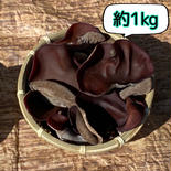 信州富士見高原産！ぷりっぷり生きくらげ　約1kg 約1kg 果物や野菜などのお取り寄せ宅配食材通販産地直送アウル