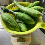 不揃いきゅうり 734ｇ 果物や野菜などのお取り寄せ宅配食材通販産地直送アウル