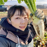 60(信州産)寒波で甘ウマ！小さめトロトロ大根｢あじまるみ｣ 60サイズ箱に入るだけ(目安は本文参照) 果物や野菜などのお取り寄せ宅配食材通販産地直送アウル