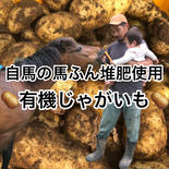 有機じゃがいも5kg　農薬化学肥料不使用 じゃがいも5kg 果物や野菜などのお取り寄せ宅配食材通販産地直送アウル
