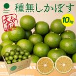 超便利な種無しかぼす 【標準】10kg 約100～120個 【送料込】 種なしかぼす10kg 果物や野菜などのお取り寄せ宅配食材通販産地直送アウル