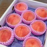 思い出の味ふるさとの定番桃！『白鳳』【産直ギフト】 ２箱 果物や野菜などのお取り寄せ宅配食材通販産地直送アウル
