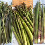 村の幸(山野菜)おまかせセット 果物や野菜などのお取り寄せ宅配食材通販産地直送アウル