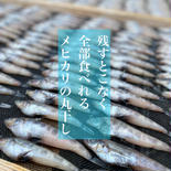 ふっくらジューシー【メヒカリ】の丸干し 4P約800g 1P約200gx4P 果物や野菜などのお取り寄せ宅配食材通販産地直送アウル