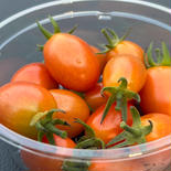 ミニトマト15個入りパック ミニトマト15個 果物や野菜などのお取り寄せ宅配食材通販産地直送アウル