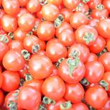 朝採りミニトマト　2kg【北海道産】 2kg 果物や野菜などのお取り寄せ宅配食材通販産地直送アウル