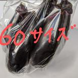 【８月31日迄限定】　大きい、キズあり60サイズ箱一杯 2キロ以内 果物や野菜などのお取り寄せ宅配食材通販産地直送アウル