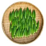 【常温便】オクラ　※ゆうパケット発送 300g程度(20～25本) 果物や野菜などのお取り寄せ宅配食材通販産地直送アウル