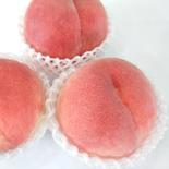 たかはし果樹園の桃 L玉 約3.3kg【クール便】 約3.3kg(L玉　12玉入) 果物や野菜などのお取り寄せ宅配食材通販産地直送アウル