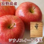 シナノスイート　ギフトボックス6玉　りんご　【2025先行予約】【信州長野県産】 ４～６玉 果物や野菜などのお取り寄せ宅配食材通販産地直送アウル