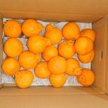 ハウスしらぬい(しらぬひ) 3kg 果物や野菜などのお取り寄せ宅配食材通販産地直送アウル