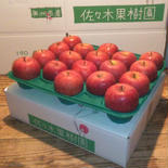 【訳あり品】サンふじ10kg箱 約10kg(24～36玉) 果物や野菜などのお取り寄せ宅配食材通販産地直送アウル