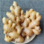 シャキシャキとした香りのいい生姜 生姜1kg  果物や野菜などのお取り寄せ宅配食材通販産地直送アウル