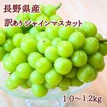 シャインマスカット 1.0～1.2kg［訳あり］　【信州長野県産】※2025年先行予約※ 1.0～1.2kg 果物や野菜などのお取り寄せ宅配食材通販産地直送アウル