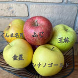 [なにが届くかはお楽しみ] 木村農園　おまかせセレクト福袋 3kg (りんご約9個) 果物や野菜などのお取り寄せ宅配食材通販産地直送アウル