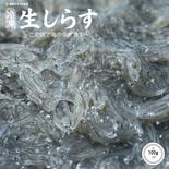 【鮮度◎】水揚げ急速冷凍★生しらす(期間限定発売） お刺身用生しらす×2P 果物や野菜などのお取り寄せ宅配食材通販産地直送アウル