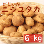 採れたて新 じゃがいも ニシユタカ 6kg 果物や野菜などのお取り寄せ宅配食材通販産地直送アウル