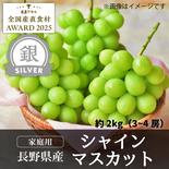【銀賞】シャインマスカット2kg（3～4房・家庭用）／本気農場いけだ 約2kg（3～4房） 果物や野菜などのお取り寄せ宅配食材通販産地直送アウル