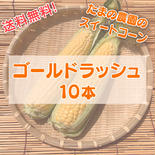 【宮崎特産！】ゴールドラッシュ10本！※西日本向け発送 10本（3.5kg前後） 果物や野菜などのお取り寄せ宅配食材通販産地直送アウル
