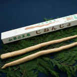 えみの自然薯2本 2本1.5kg以上 果物や野菜などのお取り寄せ宅配食材通販産地直送アウル