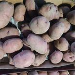 🥔農薬・化学肥料不使用「アンデスレッド」3kg　サイズ色々🥔 ジャガイモ（アンデスレッド）3kg 果物や野菜などのお取り寄せ宅配食材通販産地直送アウル