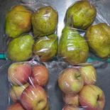 リンゴと洋なし 約7kg 果物や野菜などのお取り寄せ宅配食材通販産地直送アウル