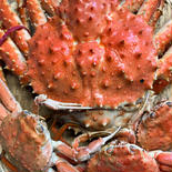 浜茹でタラバガニ1.7㎏とズワイガニのセット🦀 2㎏ 果物や野菜などのお取り寄せ宅配食材通販産地直送アウル