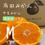 【完熟中生みかん】有田みかん★家庭用5キロ 5キロMサイズ 果物や野菜などのお取り寄せ宅配食材通販産地直送アウル